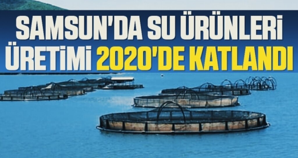 Samsun'da su ürünleri üretimi 2020'de katlandı
