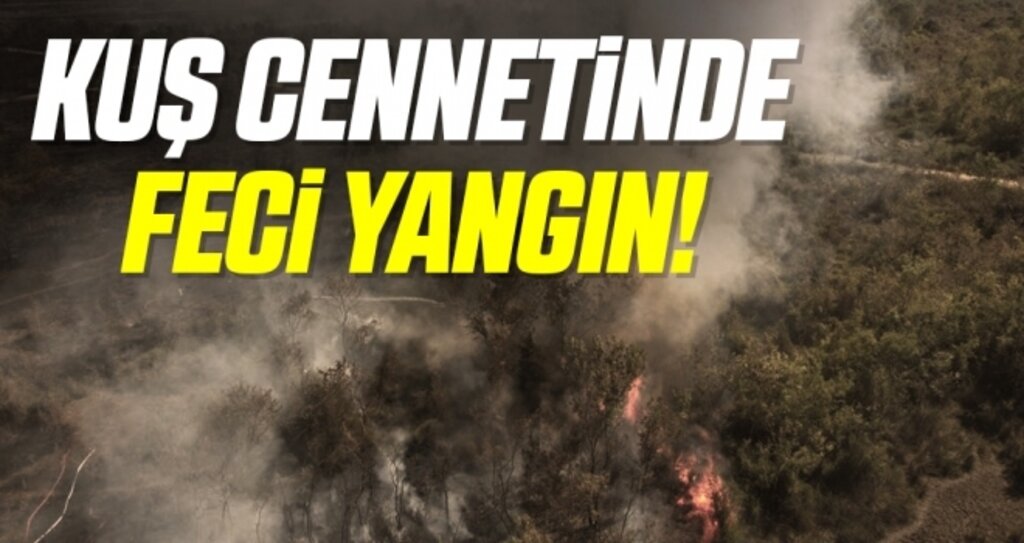 Kızılırmak Deltası Kuş Cenneti'nde yangın