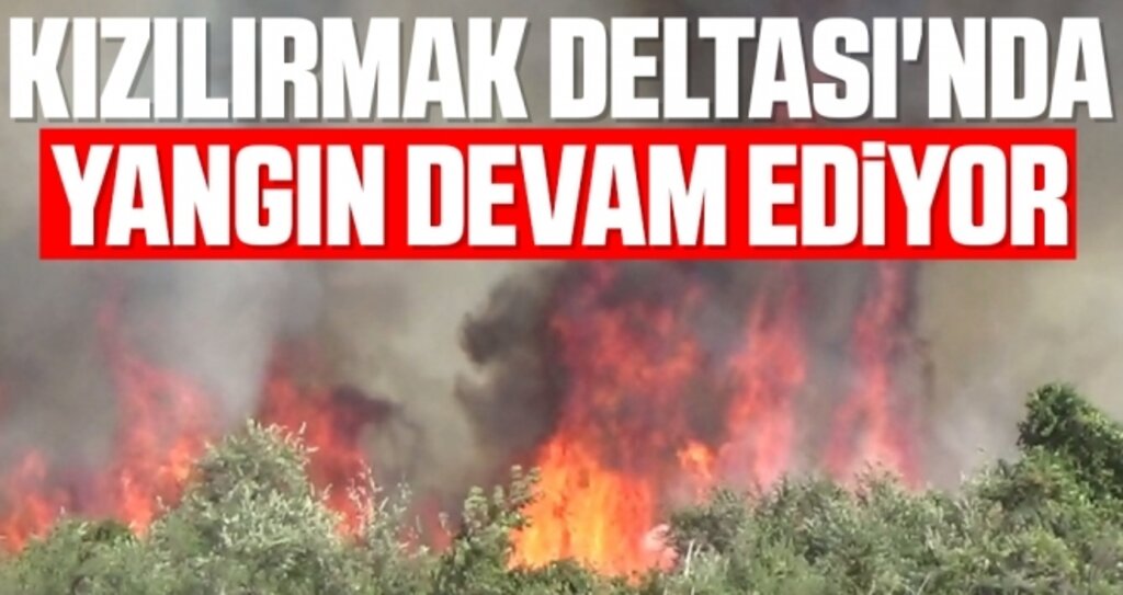 Kızılırmak Deltası'nda yangın devam ediyor