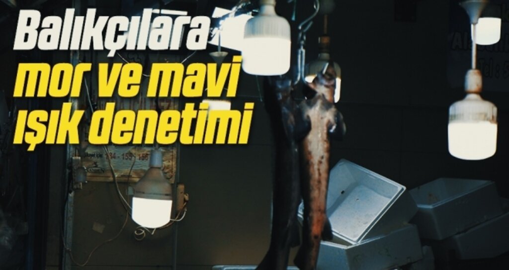 Balıkçılara mor ve mavi ışık denetimi
