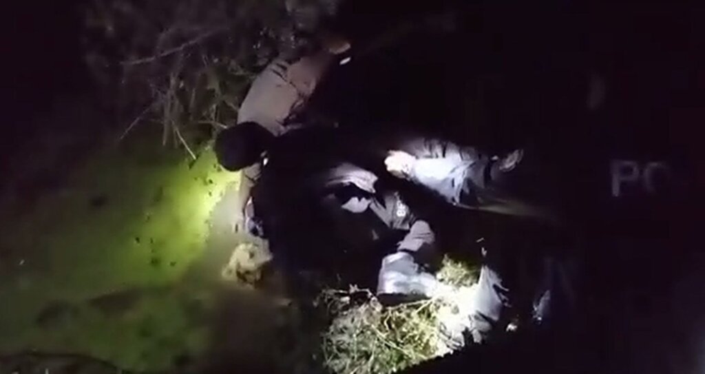 Kanala düşen köpeklerin imdadına polisler yetişti