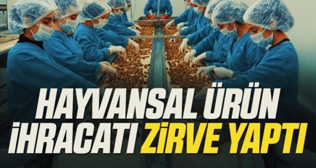 Hayvansal ürün ihracatı zirve yaptı