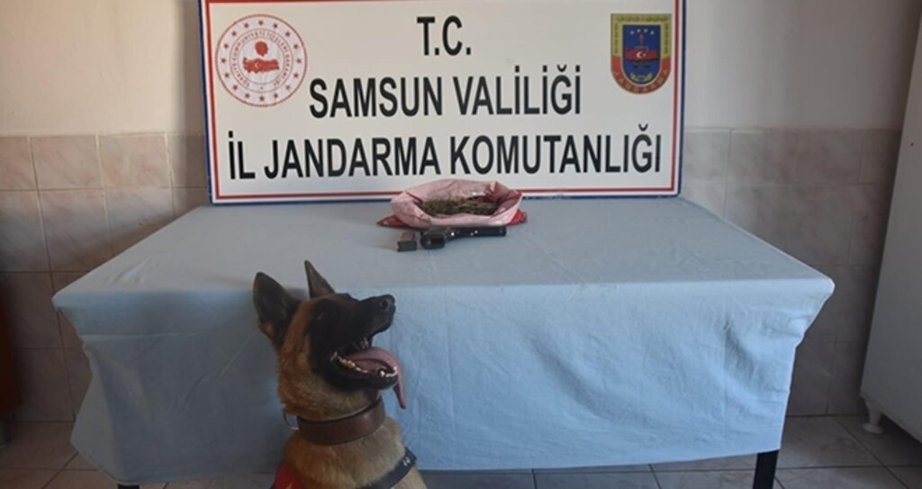 Bafra’da kubar esrar ele geçirildi