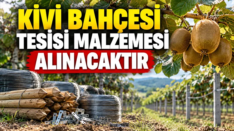 Kivi Bahçesi Tesisi Malzemesi Alınacaktır