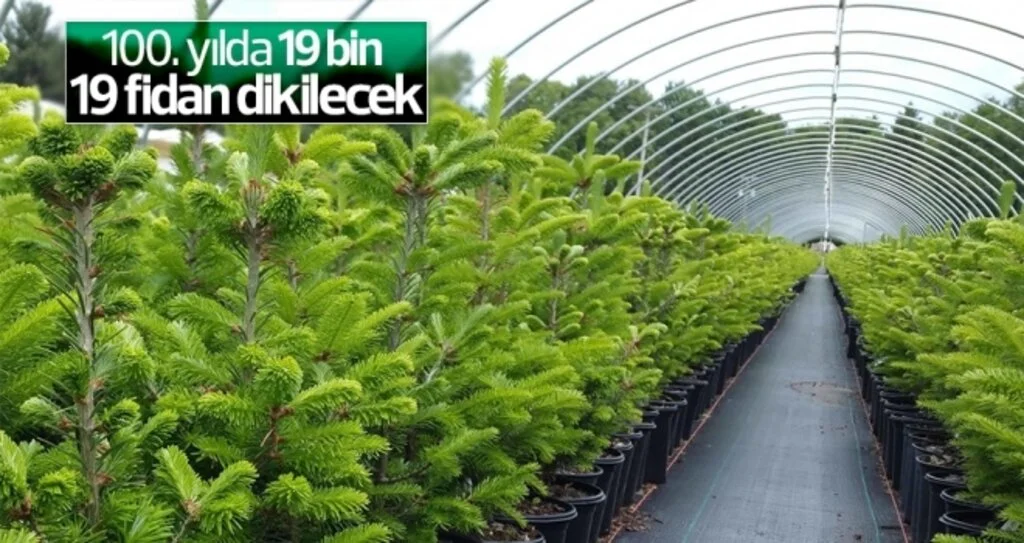 100. yılda 19 bin 19 fidan dikilecek