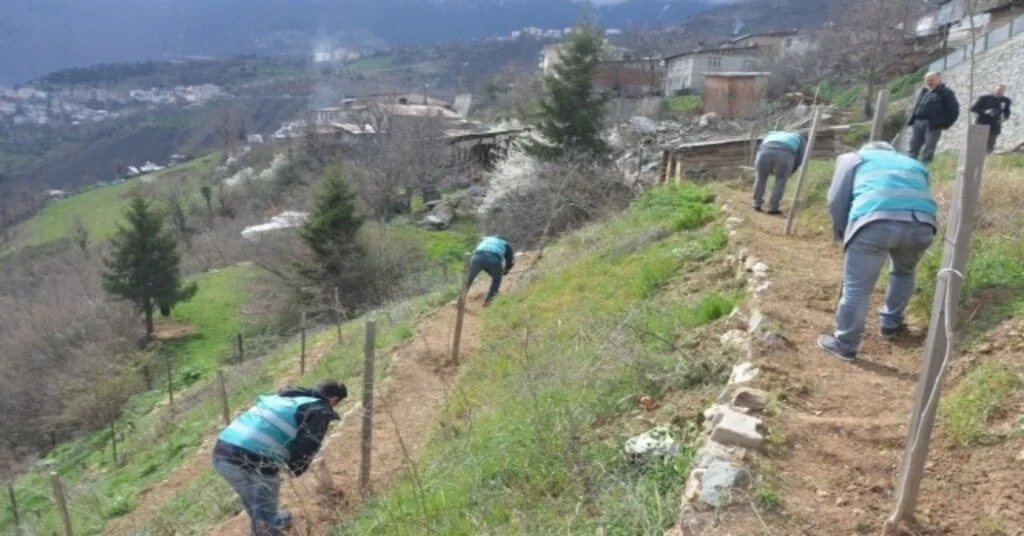 Artvinde Yükümlülerden Fidan Dikim Ve Bakım Çalışması