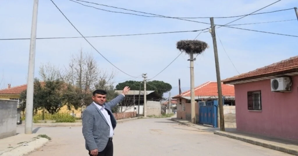 Baharın Müjdecisi Leylekler Alaşehire Geldi
