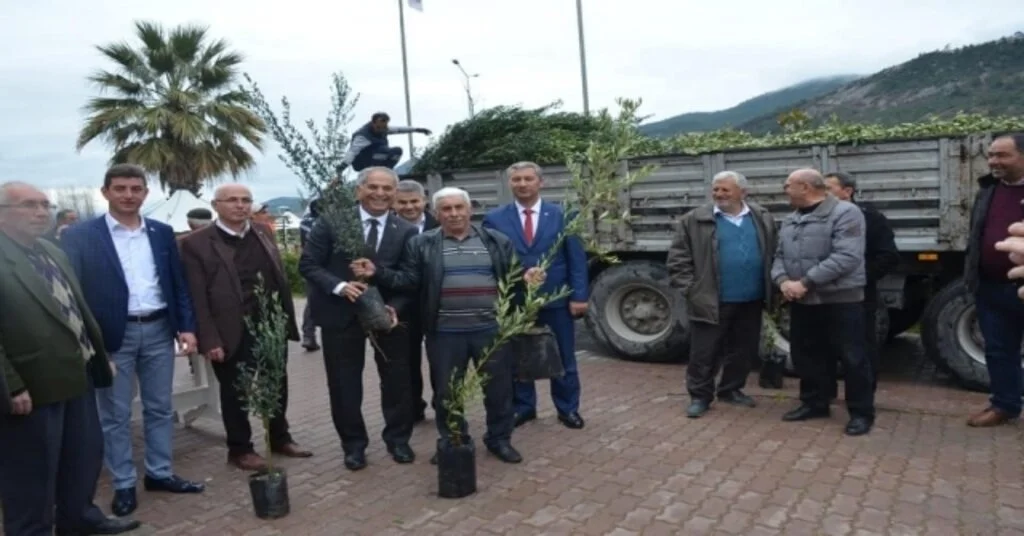 Bayırköyde Ücretsiz Zeytin Ve Hurma Fidanı Dağıtıldı