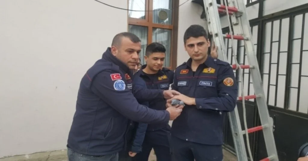 Çatıda Mahsur Kalan Güvercini İtfaiye Kurtardı
