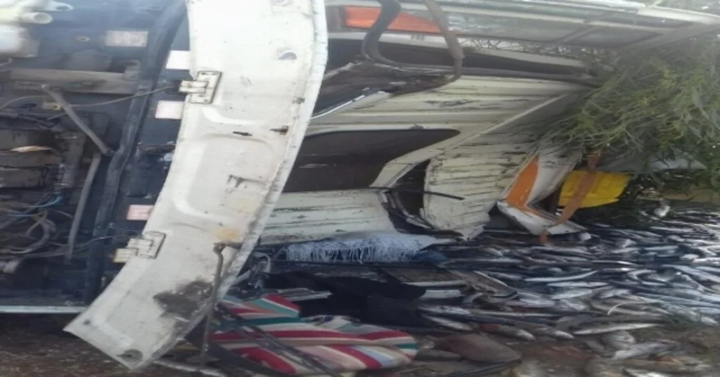 Didimde Balık Kamyonu Devrildi, Binlerce Balık Caddeye Saçıldı
