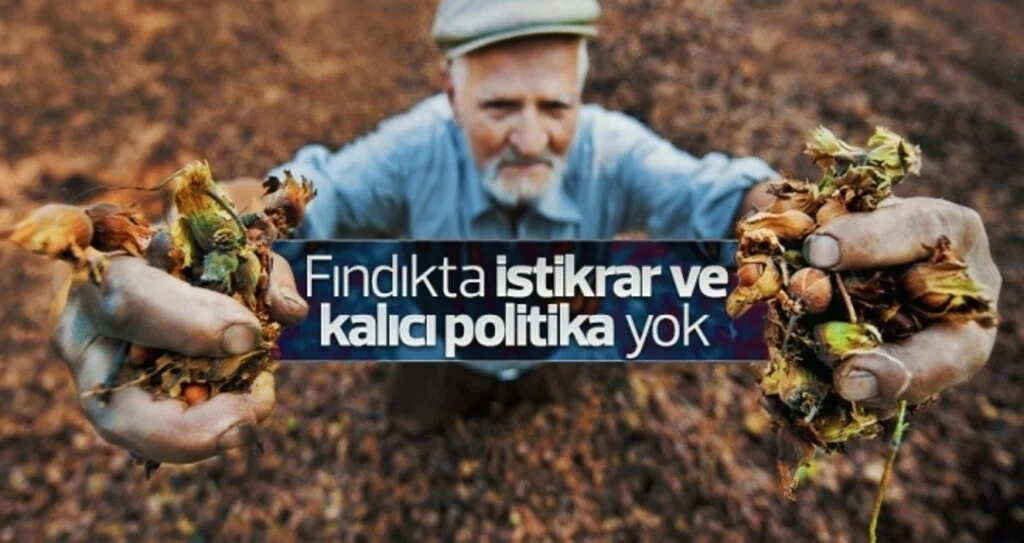 'Fındıkta istikrar ve kalıcı politika yok'