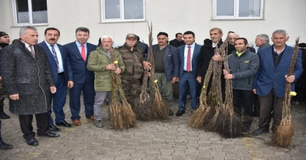 Hakkarili Çiftçilere Ceviz Fidanı Desteği
