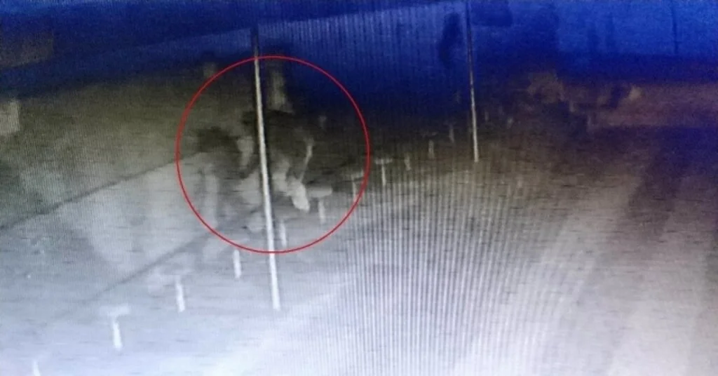 Hırsız, Caminin Musluklarını Çalarken Kamera Yakalandı