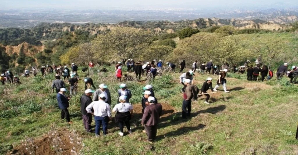 Kuyucakta Fidanlar Toprakla Buluştu