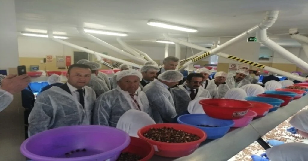 Ormanlıda Millet Bahçesi Ve Dere Islahı Projeleri Onaylandı