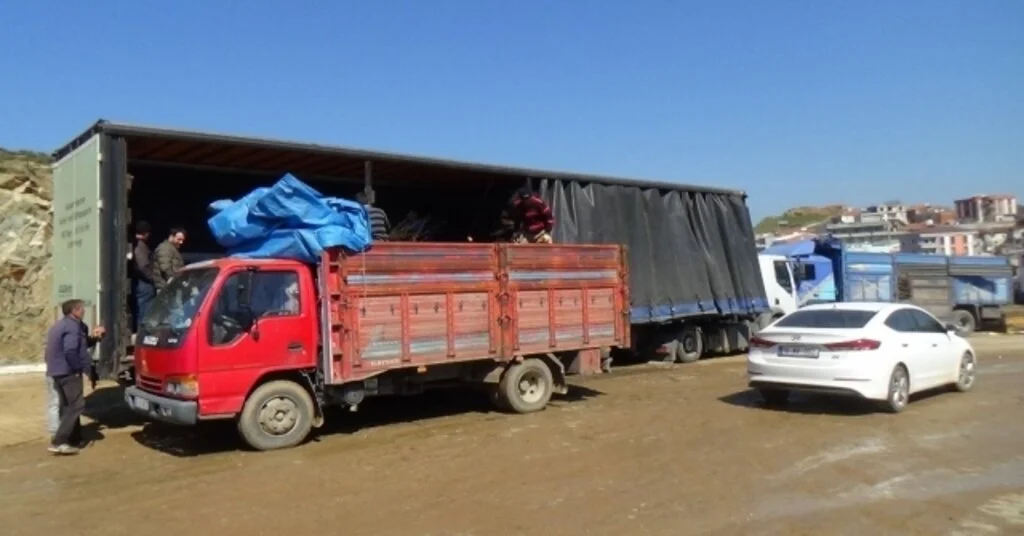 (Özel) Ceviz Üretiminde Büyük Başarı: Günde 5 Tır İhracat