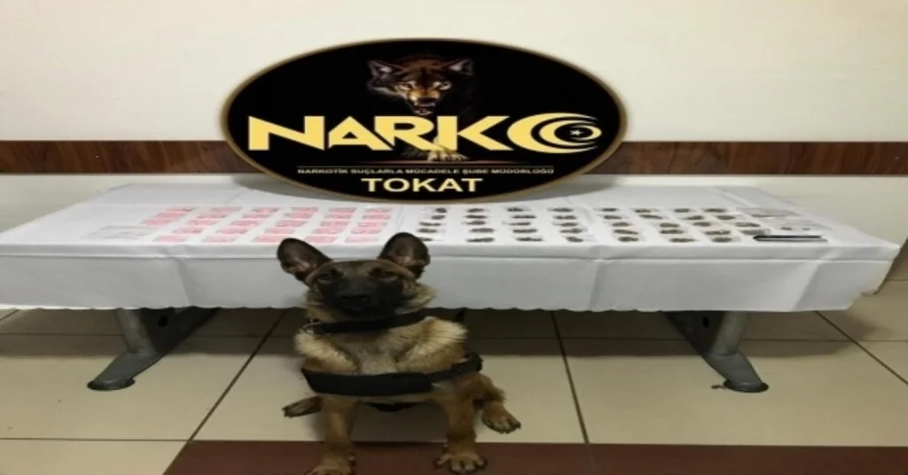 Tokatta “Torbacı” Operasyonu: 5 Tutuklama