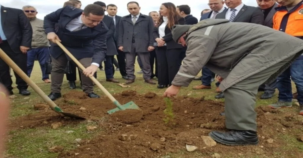 Vezirköprüde ‘Adalet Ormanına 500 Fidan