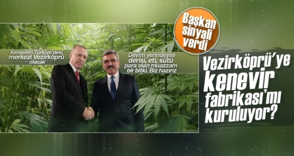 Vezirköprü'ye kenevir fabrikası 