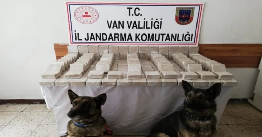 101 Kilo Eroin, Hassas Burunlu Alem Ve Baruta Takıldı