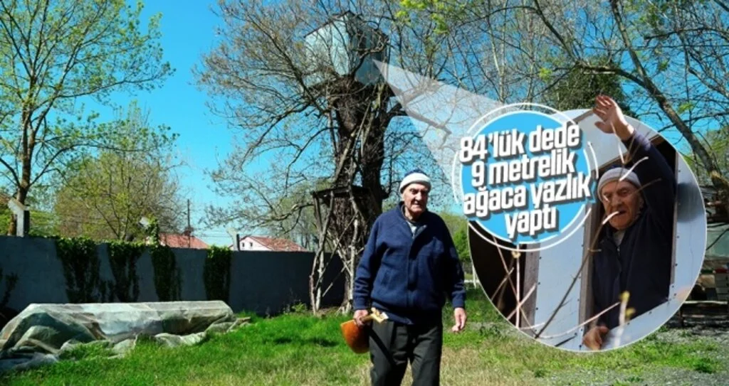 9 metrelik ağaca yazlık yaptı