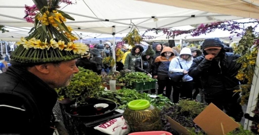 Alaçatı Ot Festivaline Yoğun İlgi
