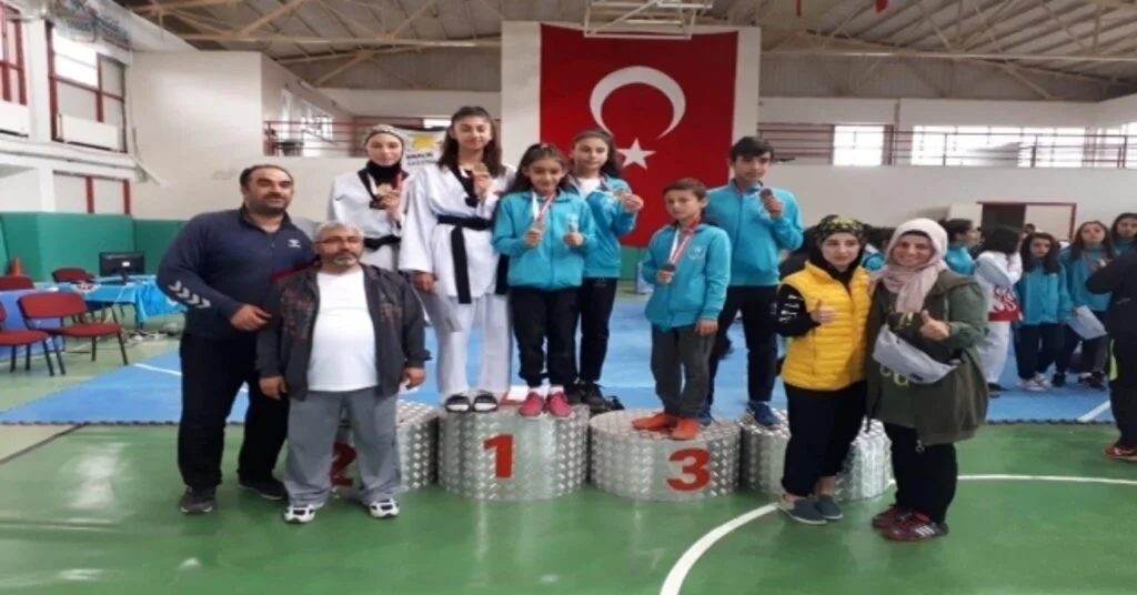 Analig Taekwondoda Kayseri Farkı