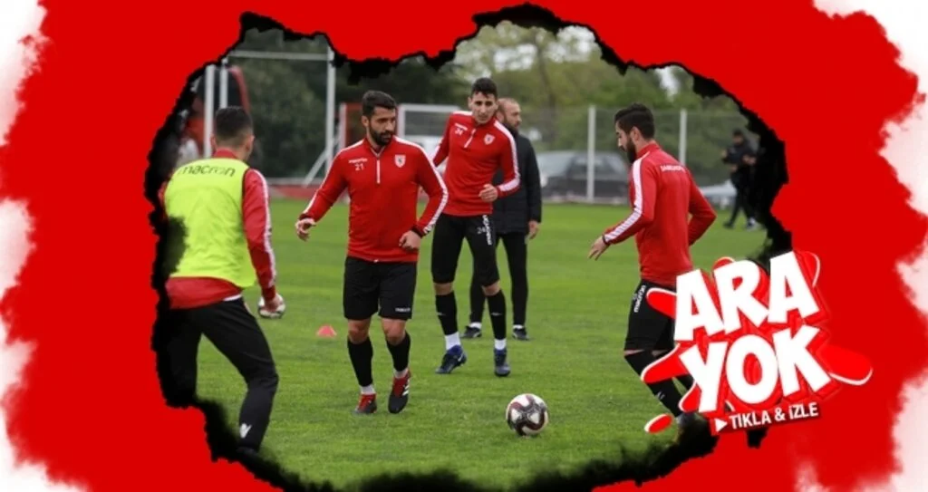 Ara Vermediler
