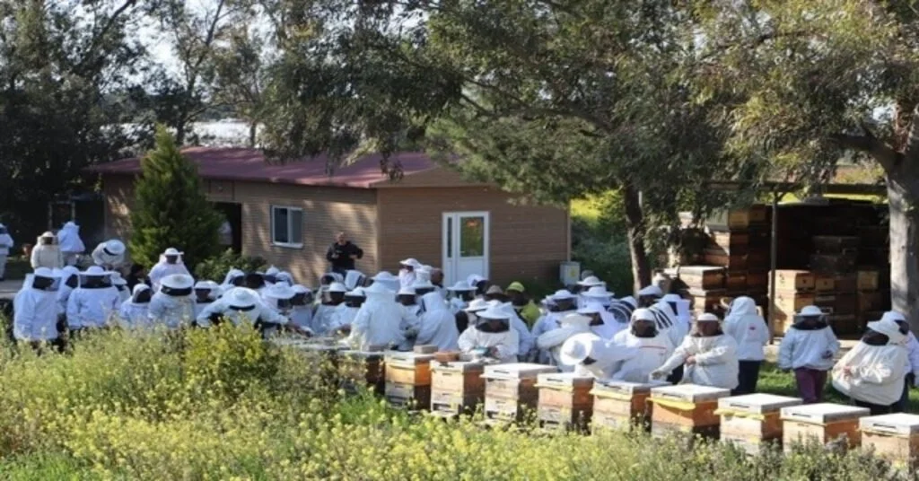 Dagem Arı Zehiri İle İlgili Çalışmalarını Anlattı