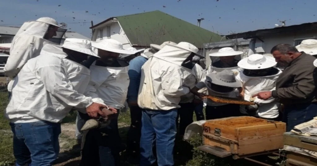 Dagem Bölge Arıcılarına Ana Arı Ve Arı Sütü Üretimini Öğretti