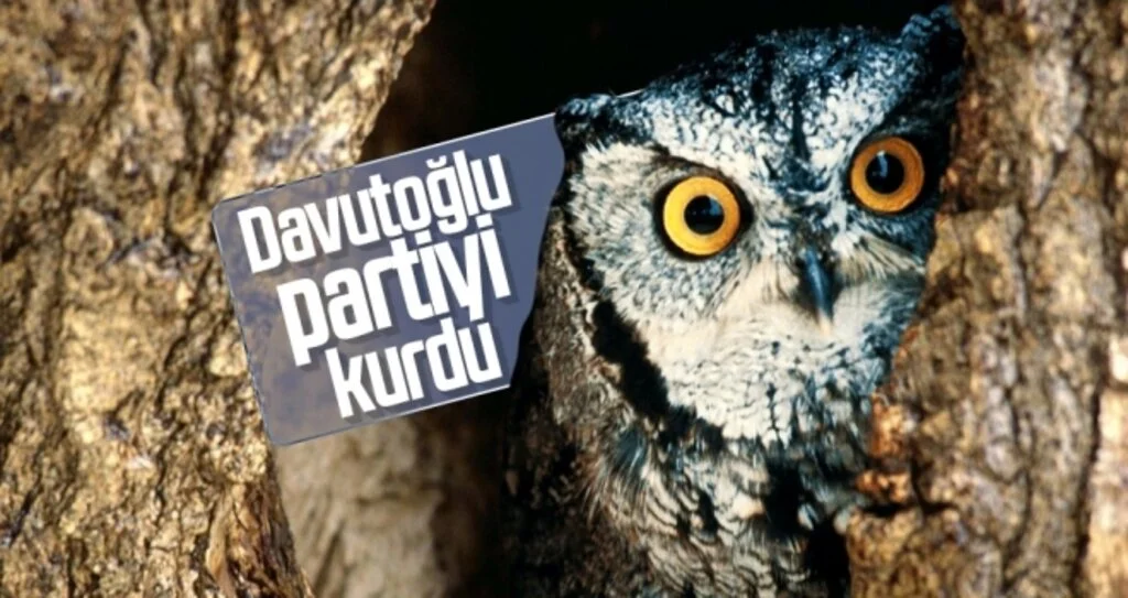 Davutoğlu partiyi kurdu 