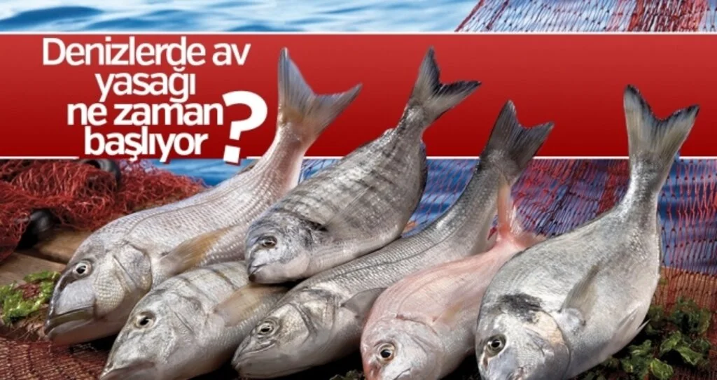 Denizlerde Av Yasağı Ne Zaman Başlıyor?