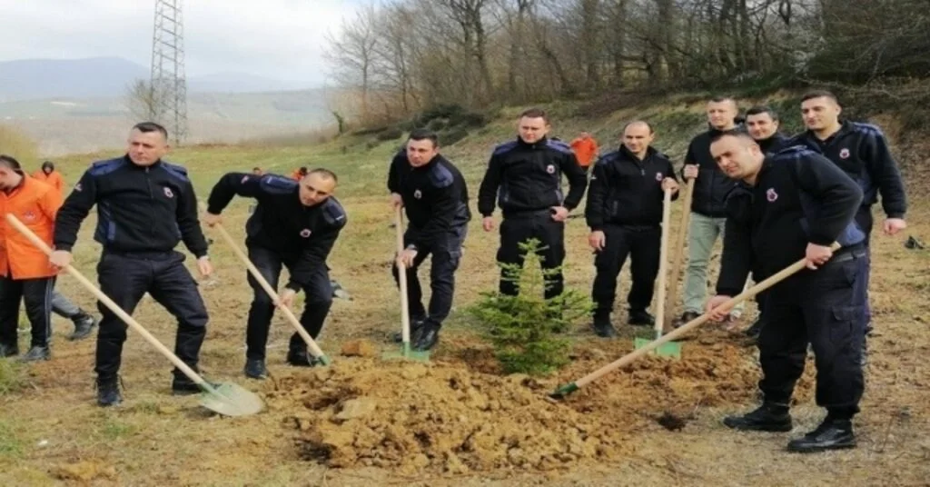 Düzcede Bin 200 Fidan Toprakla Buluştu