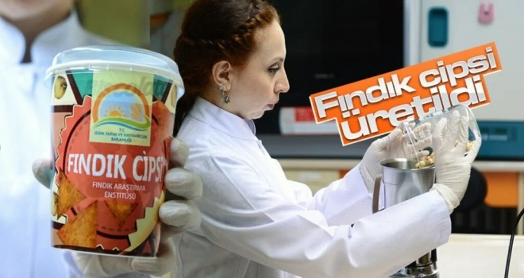 'Fındık cipsi' üretildi
