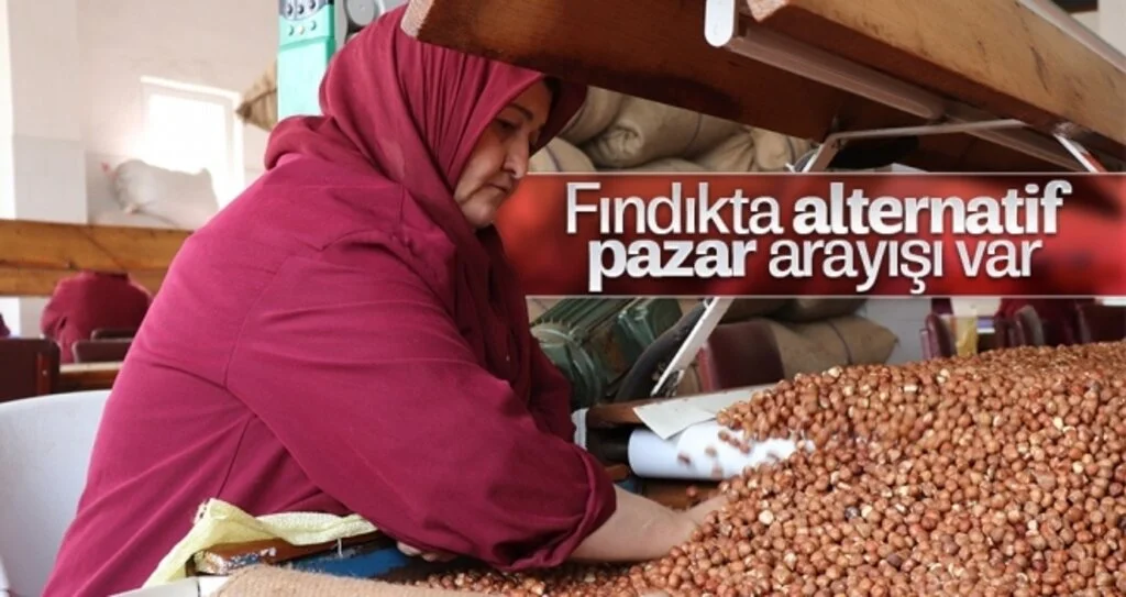 Fındıkta alternatif pazar arayışı var 