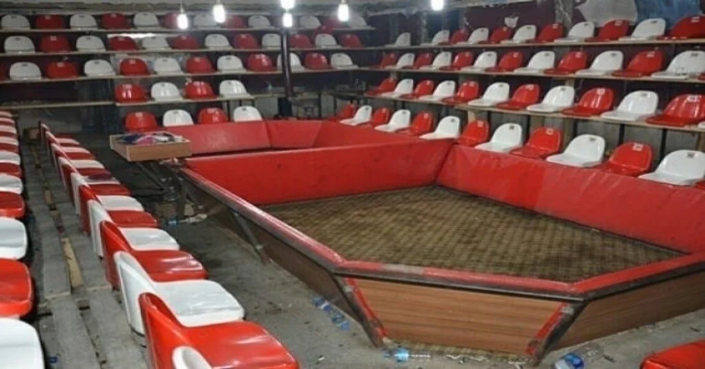 Horoz Dövüşü İçin Yapılan Ring Yetkilileri Şaşırttı