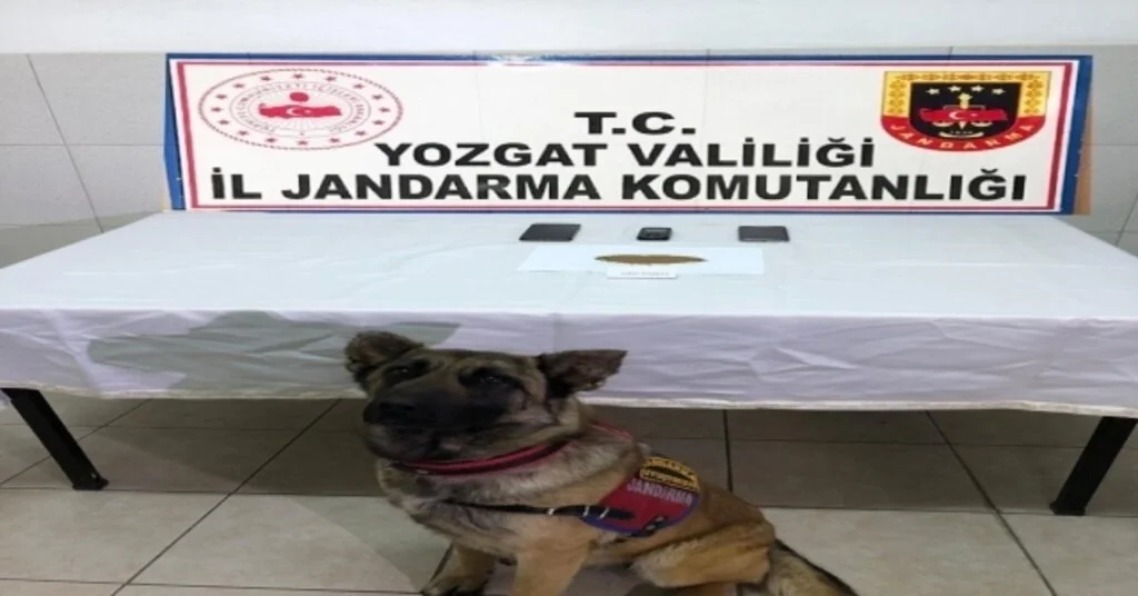 Jandarmadan Esrar Operasyonu: 4 Şüpheli Gözaltına Alındı