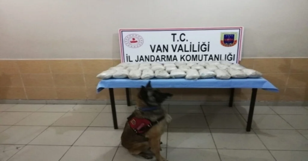 Jandarmadan Uyuşturucu Operasyonu