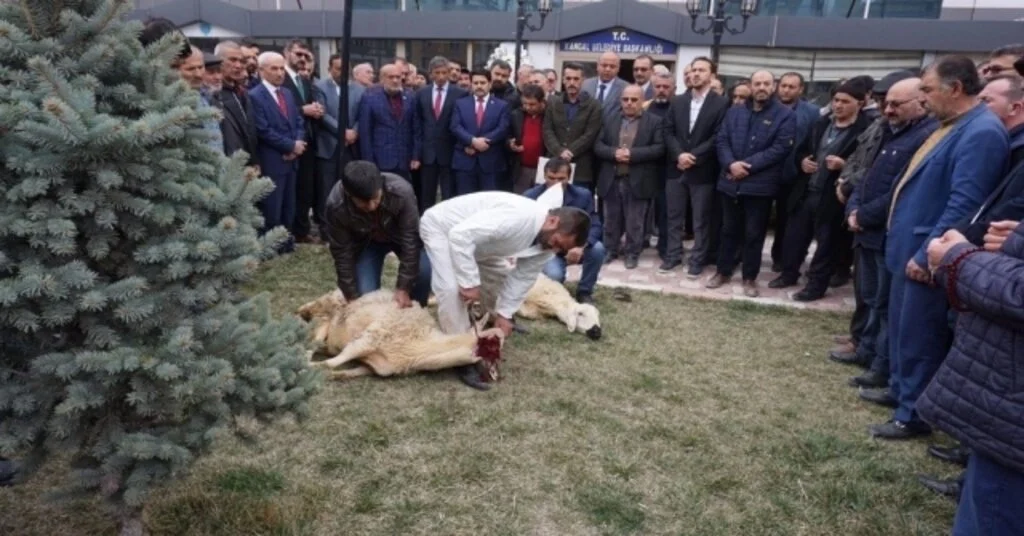 Kangalda Nöbet Değişimi