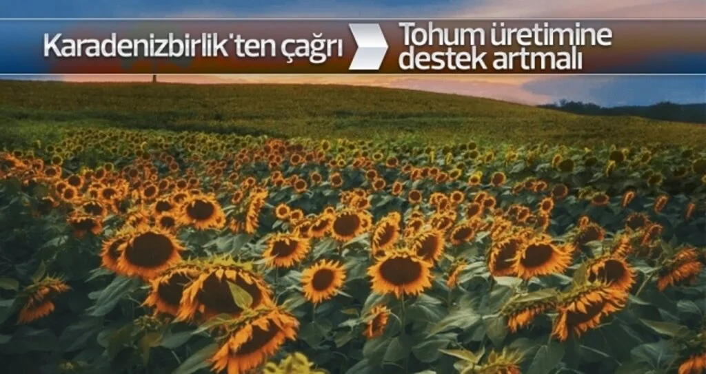 Karadenizbirlik'ten Destek Çağrısı
