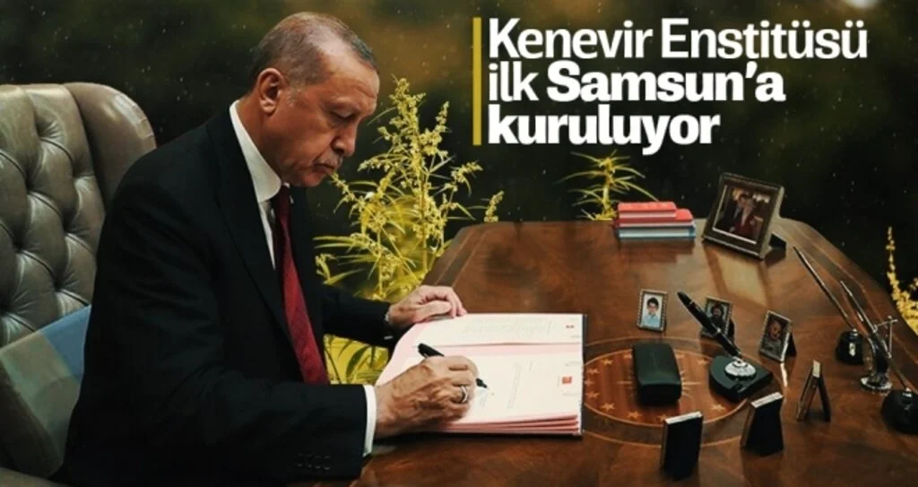 Kenevir Enstitüsü ilk Samsun'a kuruluyor 