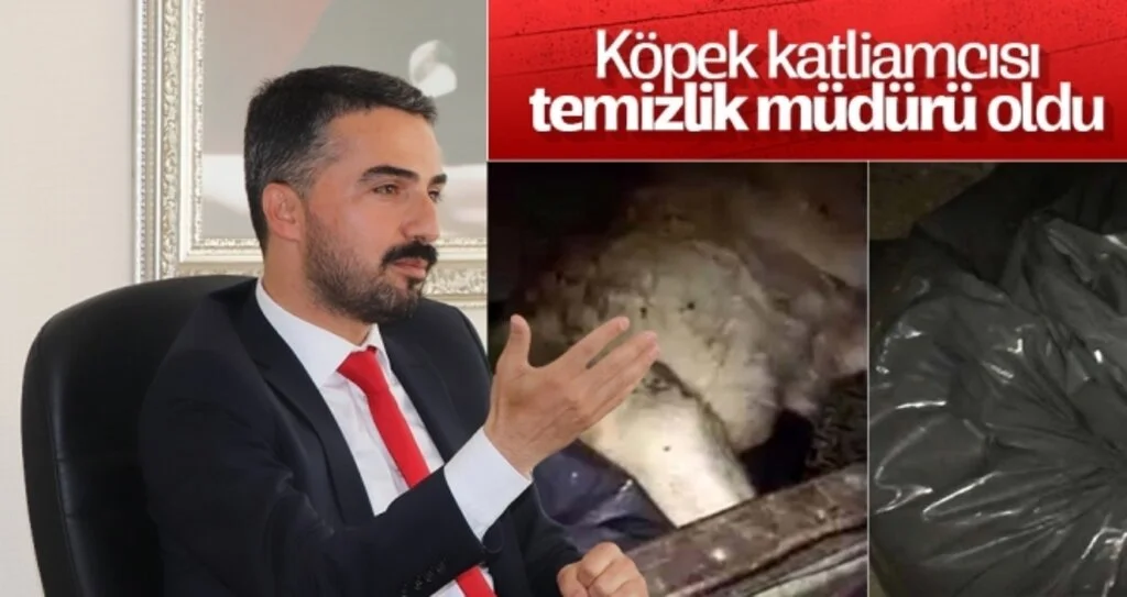 Köpek katliamcısı temizlik müdürü oldu 
