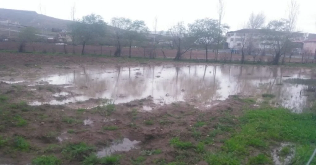 Kovancılarda Yağış, Ekinlere Zarar Verdi