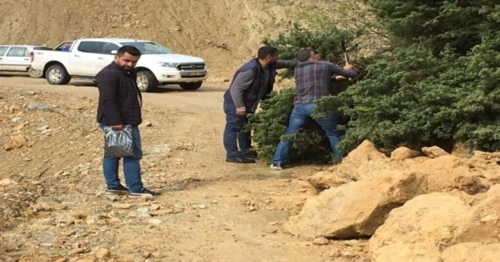Kozlukta Heyelan Nedeniyle Köy Yolları Ulaşıma Kapandı