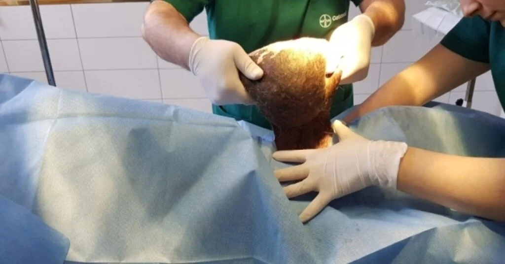 O Köpek Sağlığına Kavuştu