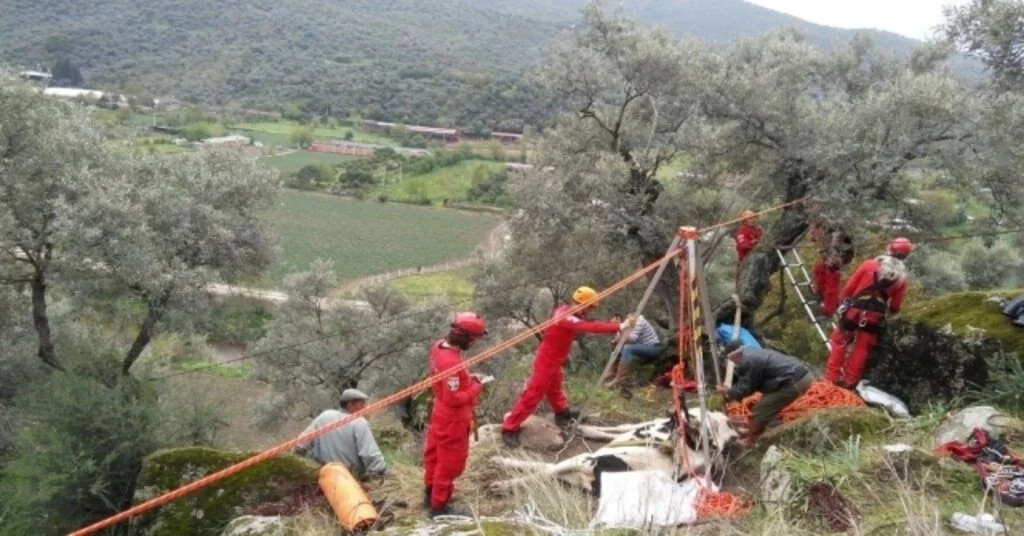 Ormanlık Alanda Mahsur Kalan İneği Kuşadası Akut Ekibi Kurtardı