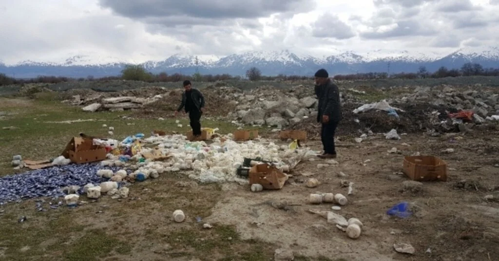(Özel Haber) Çevreye Gelişi Güzel Atılan Bozulmuş Peynirler, Koyunları Telef Etti