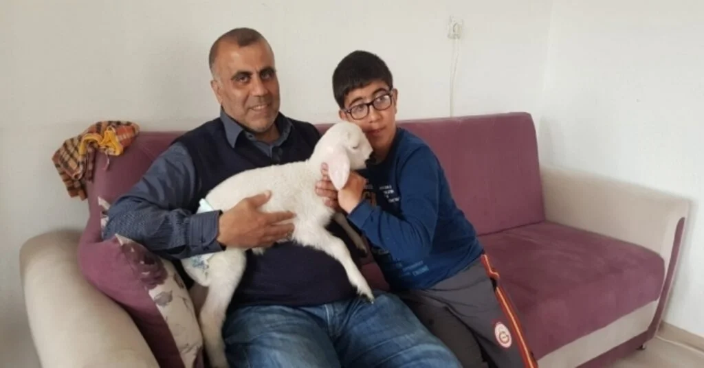 (Özel) Kuzuyla Alışverişe Gidiyor, Çocuk Bezi Bağlıyor