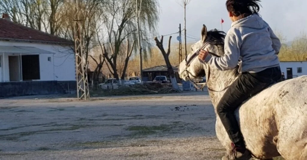 Piknikçiler Doğa İle İç İçe Olmanın Keyfini Burada Çıkarıyor