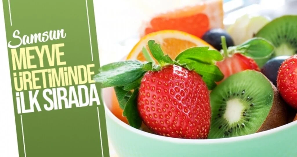 Samsun Meyve Üretiminde İlk Sırada